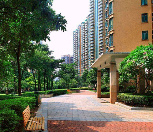 河南频道
